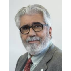 32 – Josir Simeone Gomes